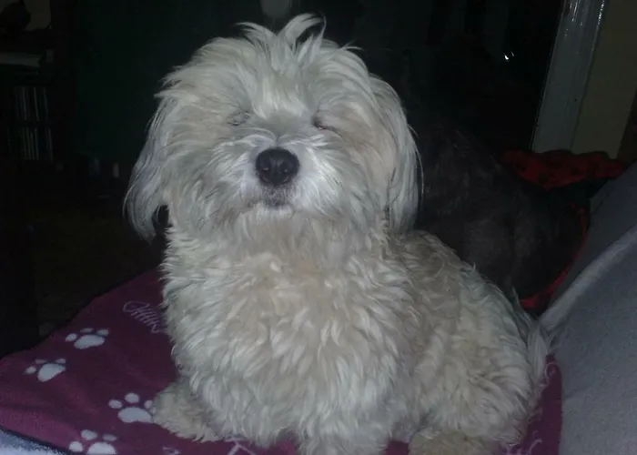 Pensjonat Casa Mamma 4*